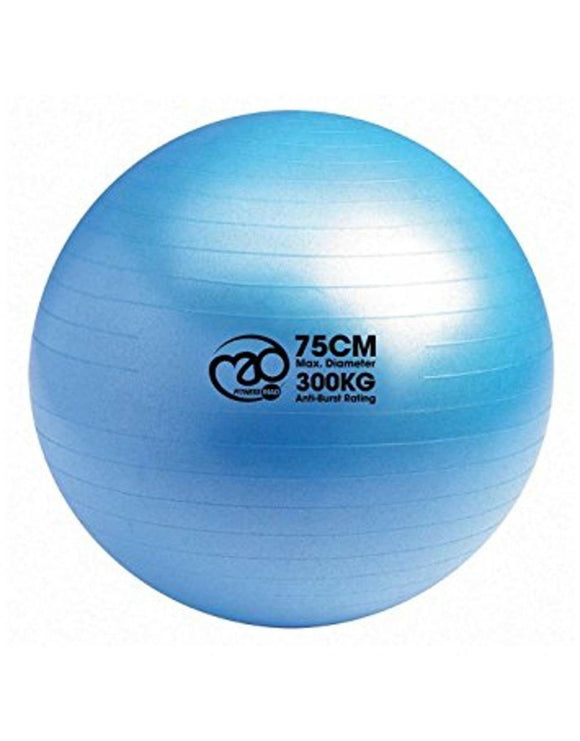 Fitness-Mad 300kg Anit Burst Ball - 75cm - Product