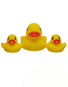 HydroKidz-3x-duck-floating-toys