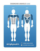 Maru - Swim Pull Buoy - Exercise & Muscle Guide - SimplySwim